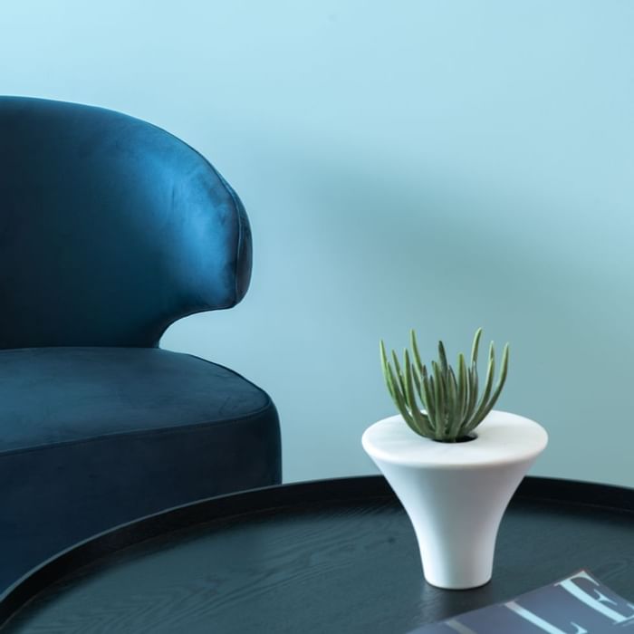 Blauer Sessel neben einem schwarzen Tisch mit einer kleinen weißen Vase, die eine Sukkulente enthält.