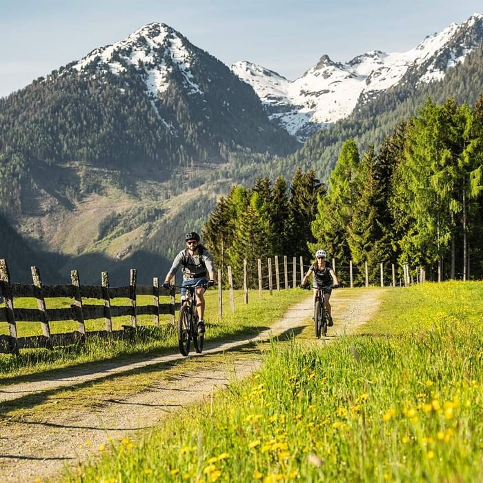 Zwei Radfahrer auf einem Pfad neben einer Wiese mit gelben Blumen und einer Bergkulisse im Hintergrund.