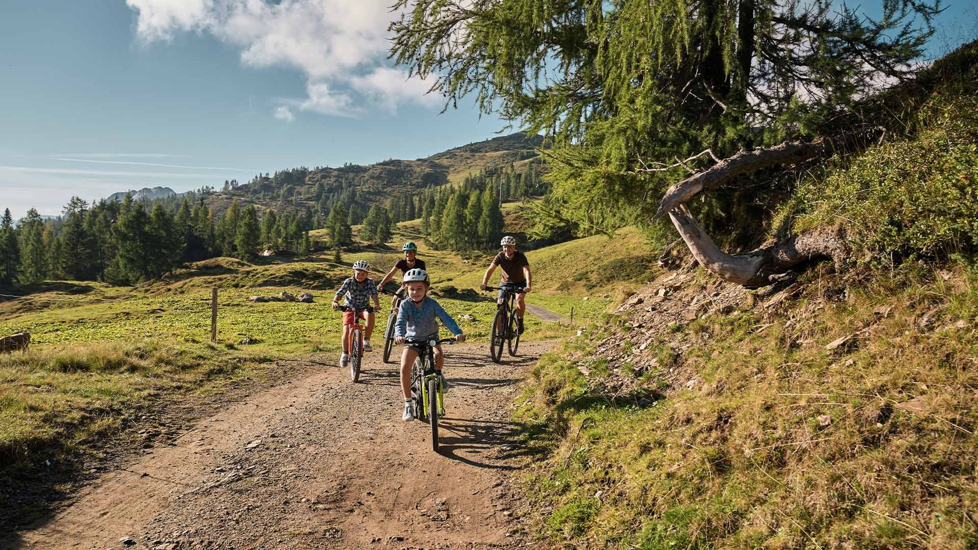 Vier Radfahrer mit Helmen fahren auf einem Waldweg in einer bergigen Landschaft.