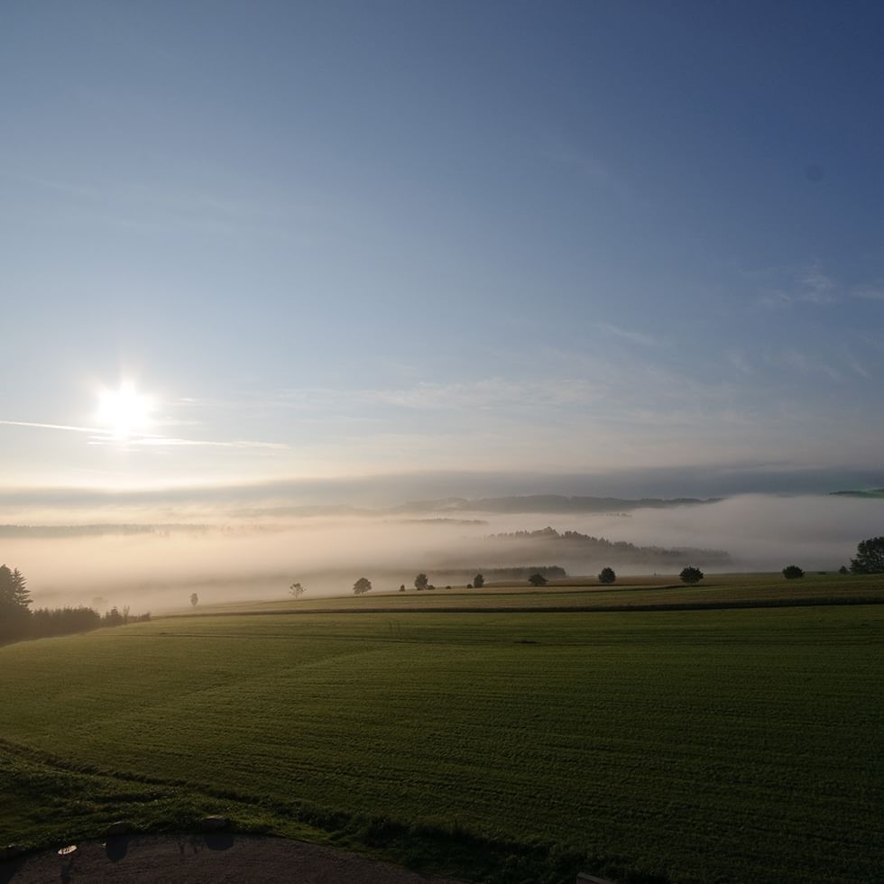 Sonnenaufgang über einem grünen Feld mit Nebel im Hintergrund und blauem Himmel.