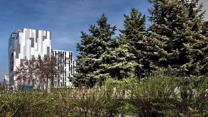 Modernes Gebäude mit geometrischen Mustern neben hohen Tannen und dichtem Buschwerk unter blauem Himmel.