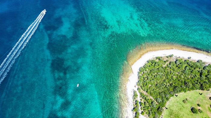 Luftaufnahme eines Bootes, das in kristallklares Wasser fährt, neben einem sandigen Strand und üppigem Grün.