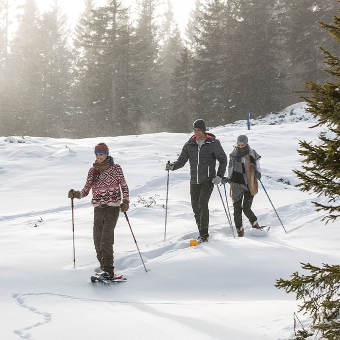 Drei Personen auf Schneeschuhen in einer schneebedeckten Landschaft mit Bäumen im Hintergrund.