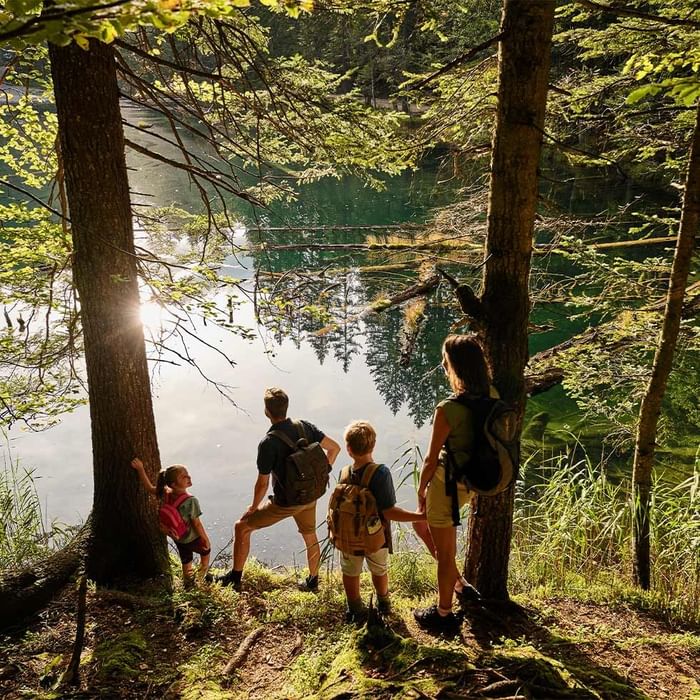 Famiglia di escursionisti con zaini, che ammirano un lago verde in una foresta, sotto il sole splendente.