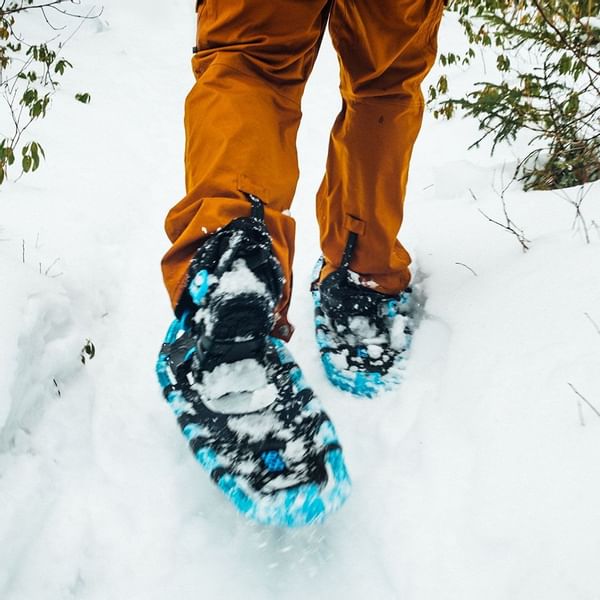 Person in orange pants and blue snowshoes walking through snow with vegetation in background.