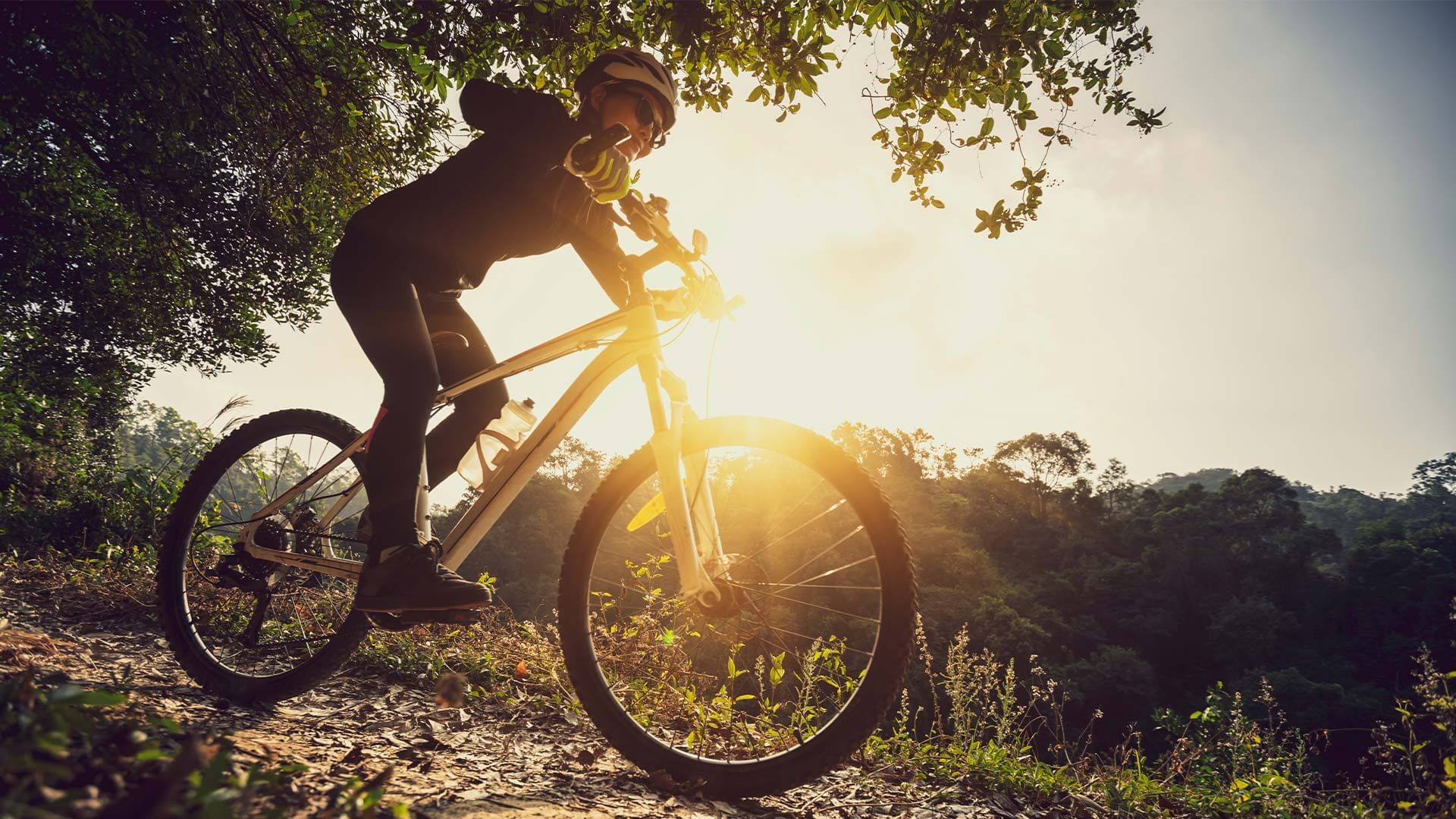 Ciclista in mountain bike su sentiero boschivo al tramonto con sole splendente.