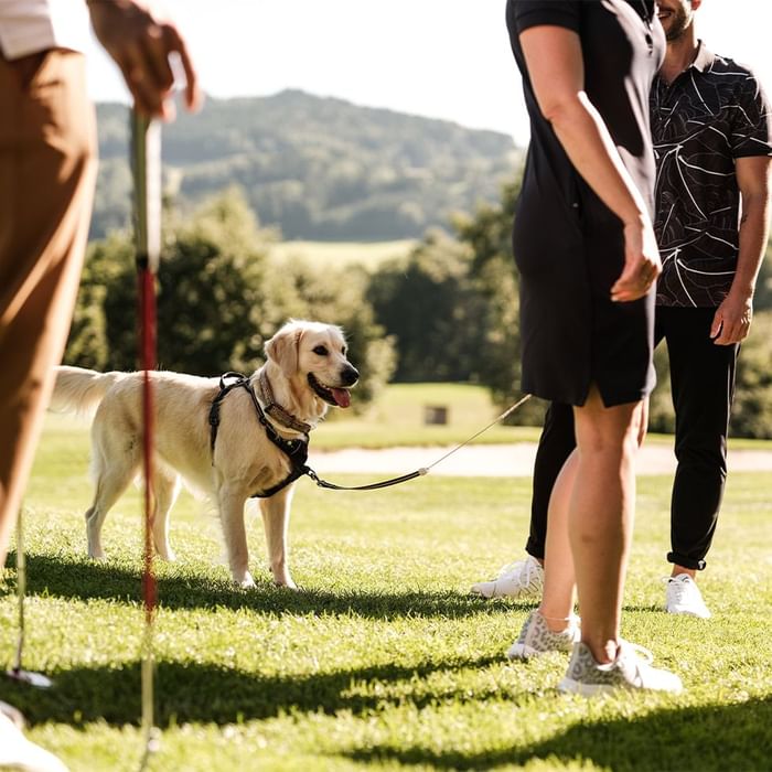 Eine Gruppe von Menschen steht auf einer Wiese mit einem angeleinten Hund und Golfschlägern.