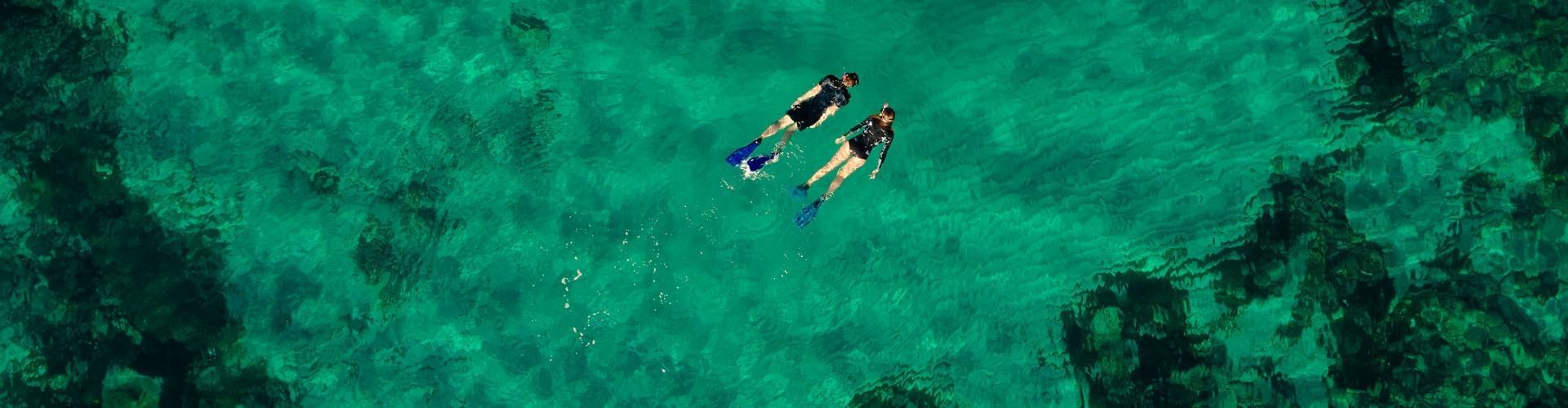 Zwei Taucher mit schwarzen Tauchanzügen und Flossen schwimmen im klaren, grünen Wasser.
