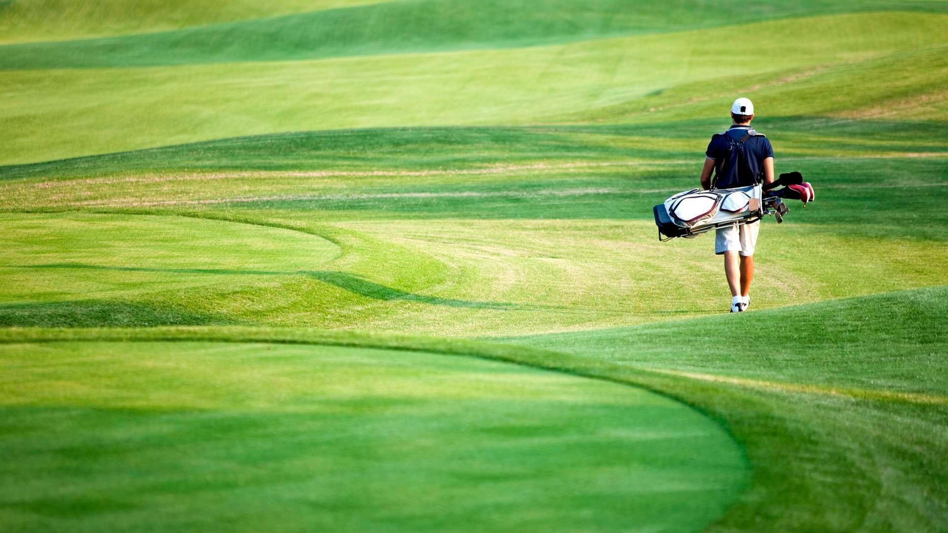 Golfspieler mit Schlägern und Tasche, auf Grünfläche gehend, nur Rücken sichtbar.