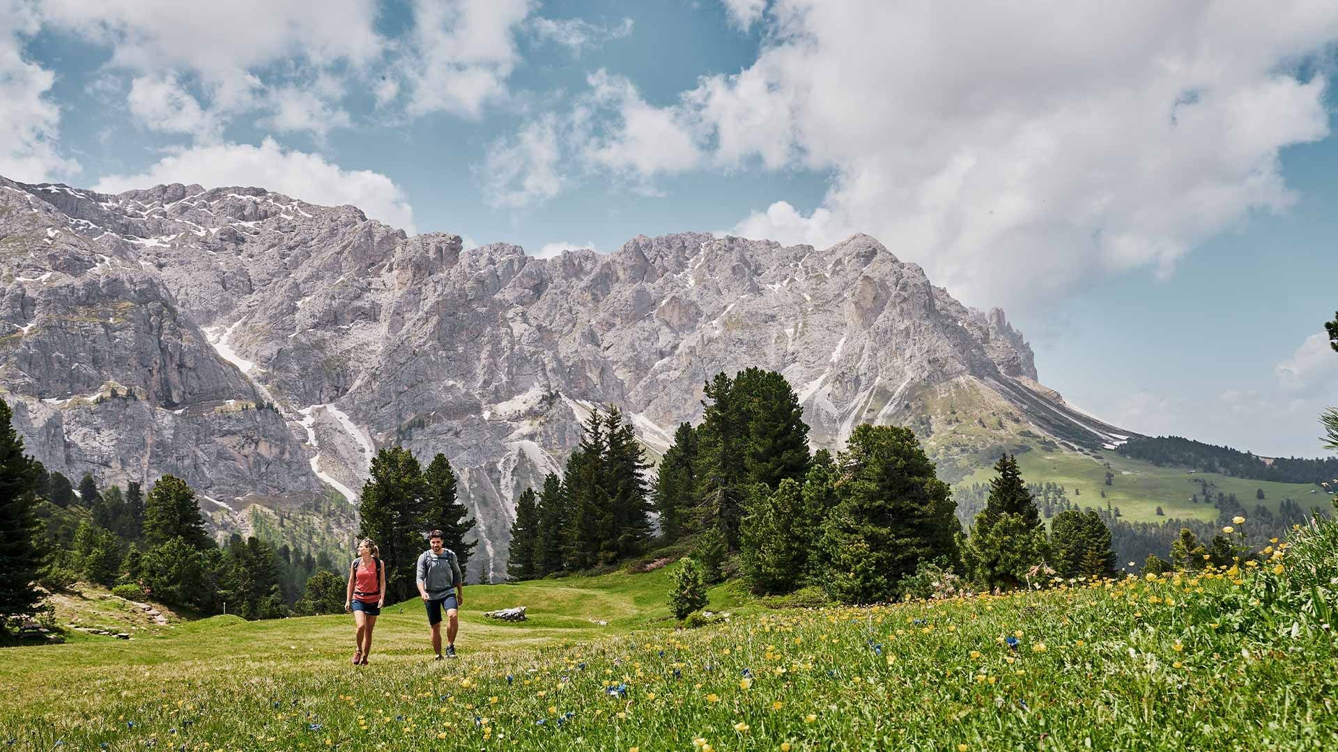 Falkensteiner Hotel Kronplatz Aktiv Sommer 